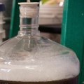 All you need to know about Secondary fermentation for homebrewing