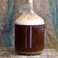 Primary Fermentation: The Key to Homebrewing Success