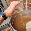 The Importance of Bittering Hops in Homebrew Beer Recipes