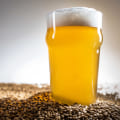 A Beginner's Guide to Using Dry Yeast for Homebrew Beer