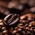 An In-Depth Look at Coffee Beans for Homebrewing