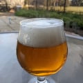 How to Brew a Delicious Belgian IPA at Home